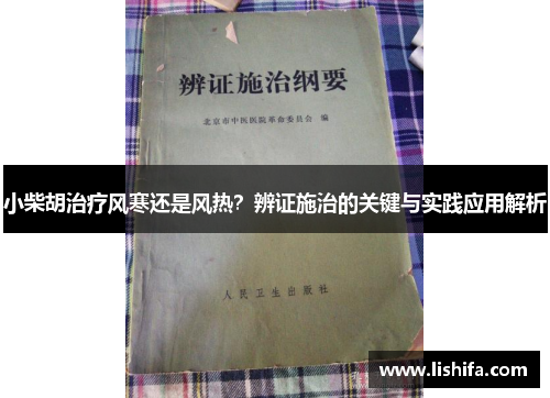 小柴胡治疗风寒还是风热？辨证施治的关键与实践应用解析