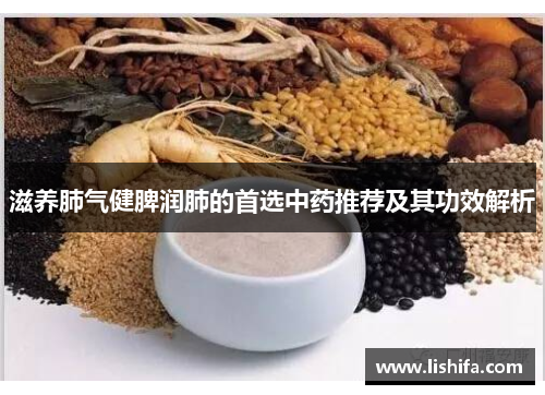 滋养肺气健脾润肺的首选中药推荐及其功效解析 滋养肺气健脾润肺的首选中药推荐及其功效解析